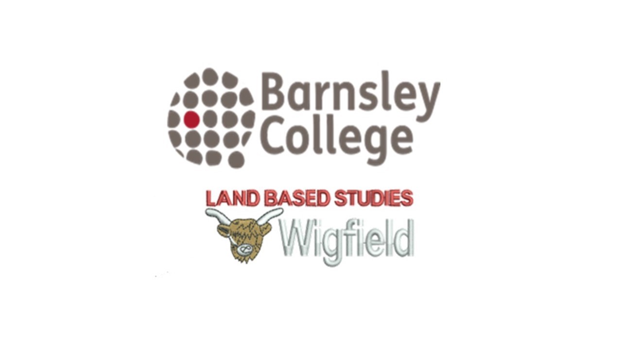 Barnsley_College_Wigfield_Logo